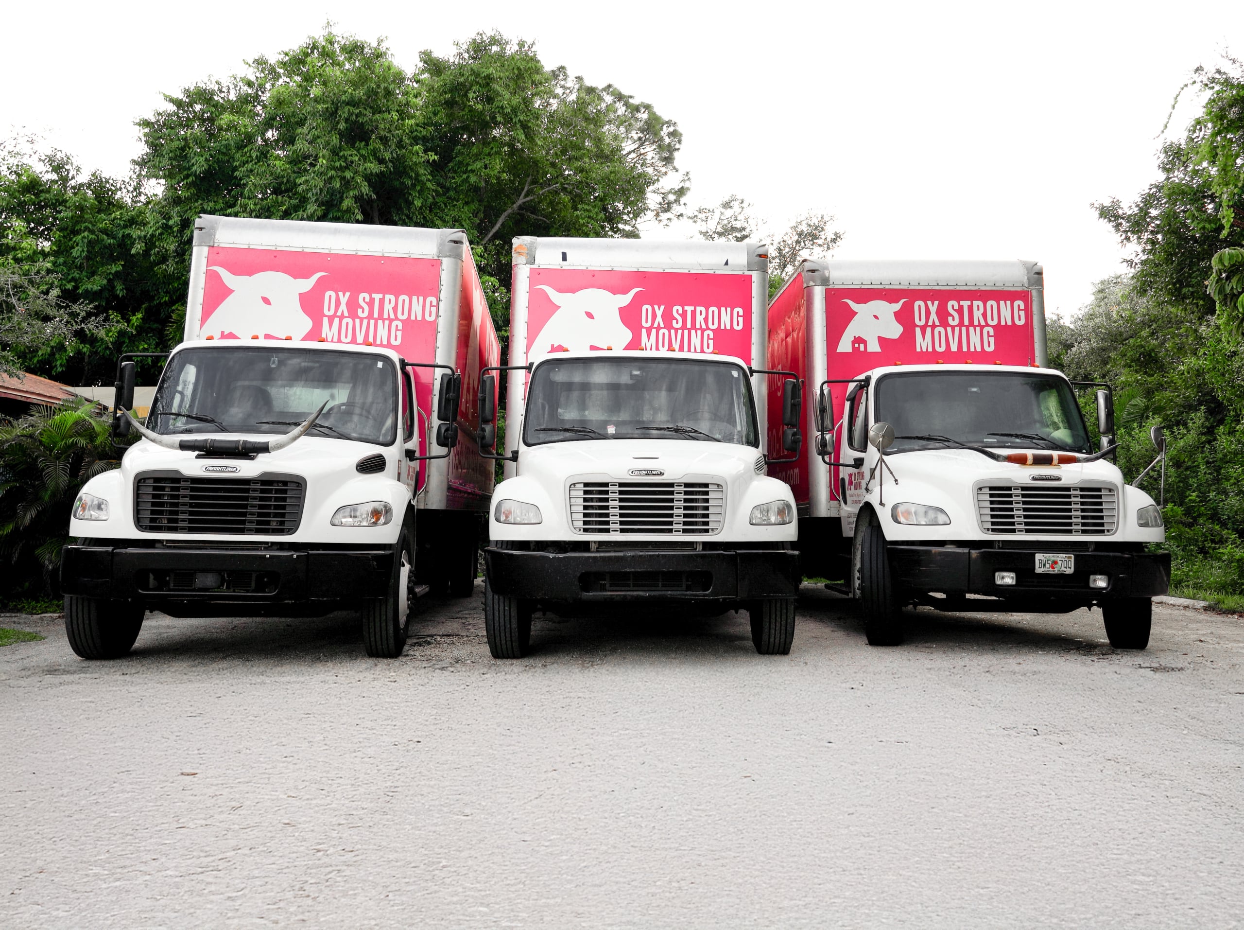 Ox Strong Moving trucks